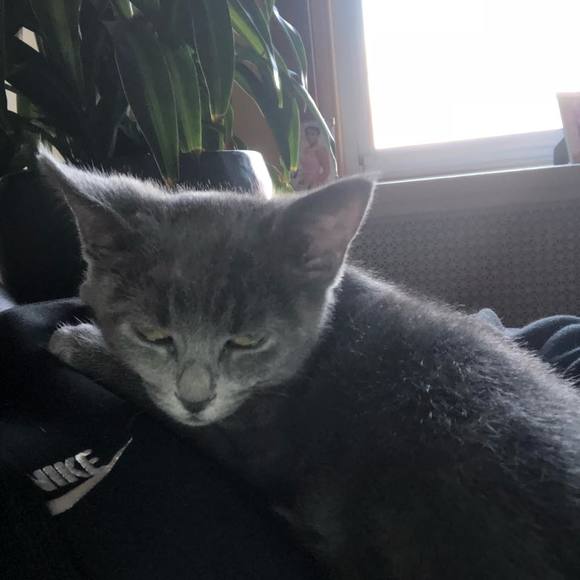 Meet your Posher, Danny - Picture 1 of 1